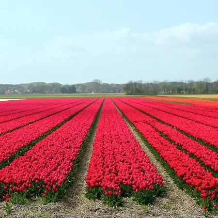 Semesterbostad Het Eerste Vacation