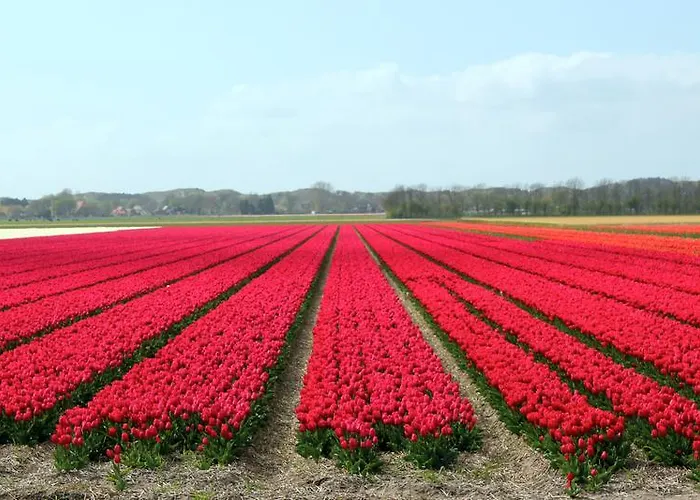 Ferienhaus Het Eerste Vacation
